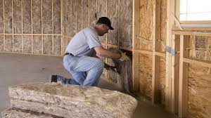 Best Pipe and Duct Insulation  in Bronte, TX