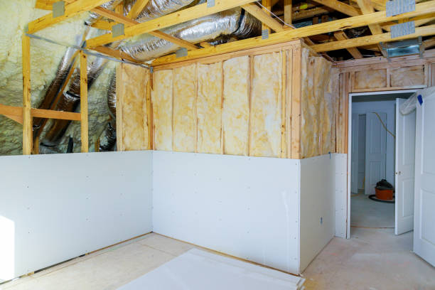 Best Soundproof Insulation  in Bronte, TX