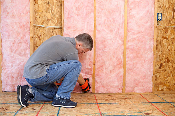 Best Wall Insulation Installation  in Bronte, TX