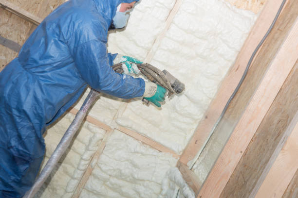 Best Attic Insulation Installation  in Bronte, TX